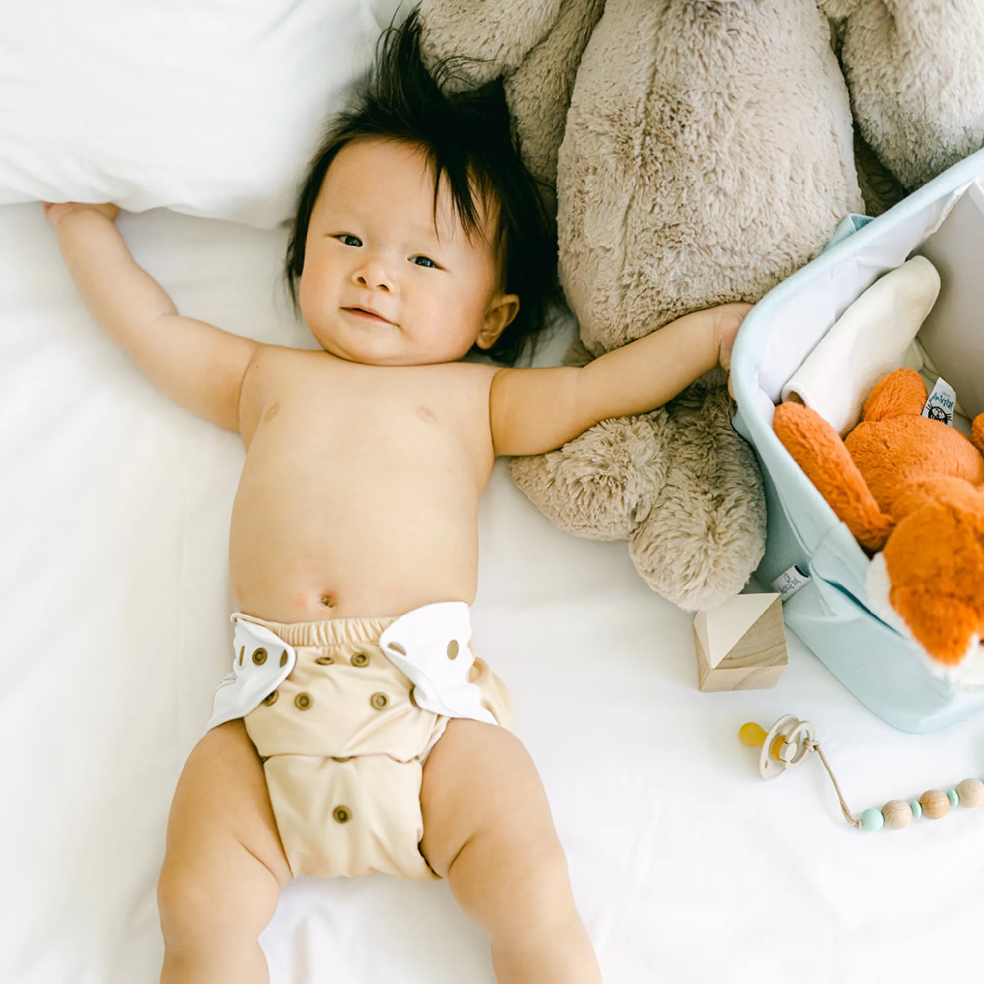 Cloth Diapers - Nature Collection - Single Diaper Set   Inserts