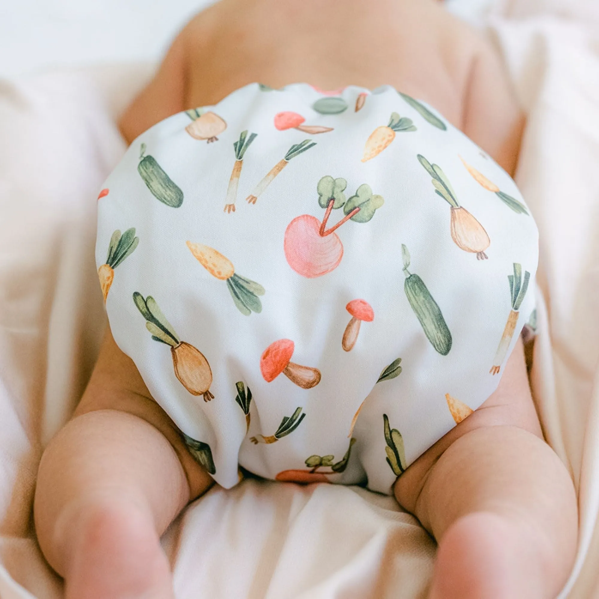 Cloth Diapers - Nature Collection - Single Diaper Set   Inserts