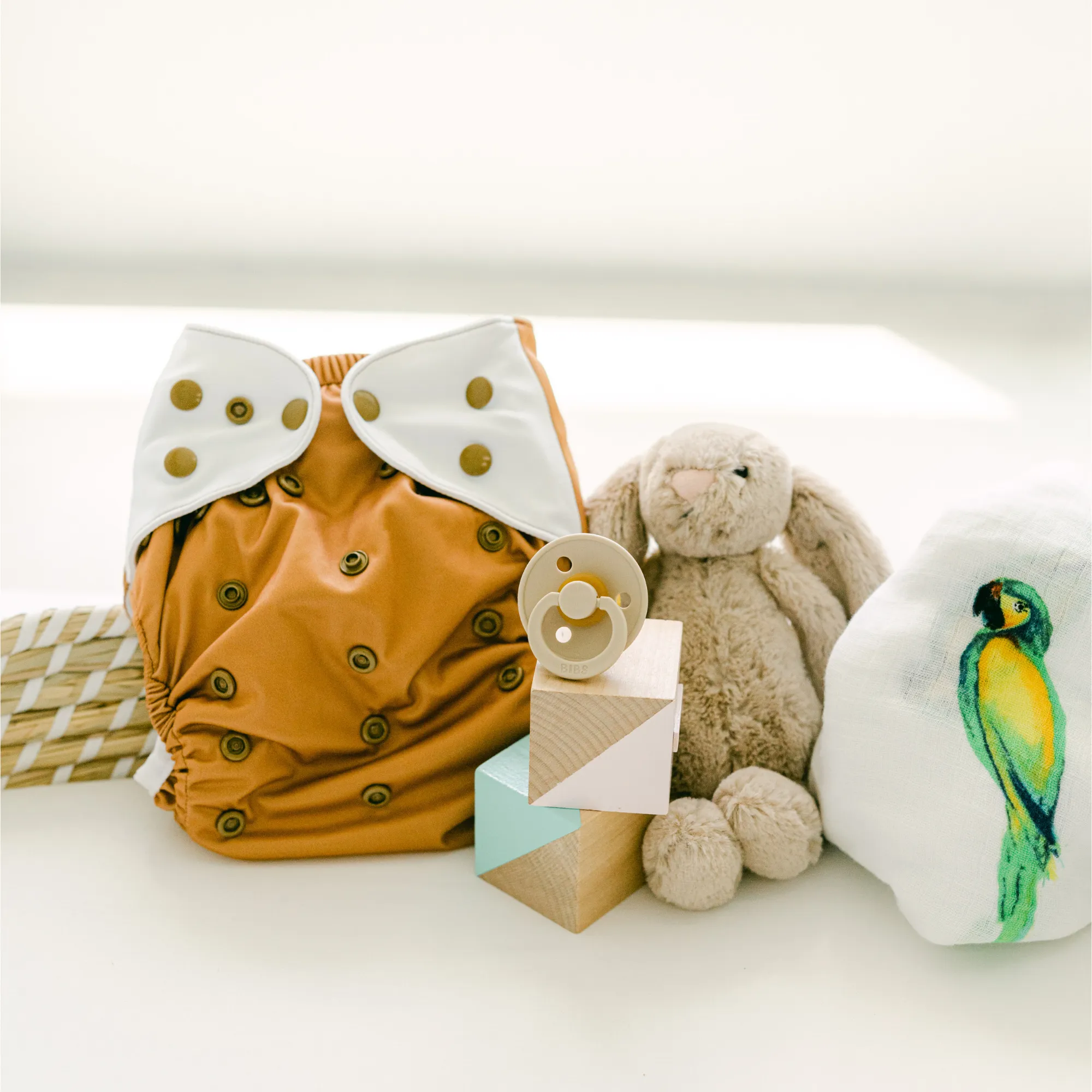 Cloth Diapers - Nature Collection - Single Diaper Set   Inserts