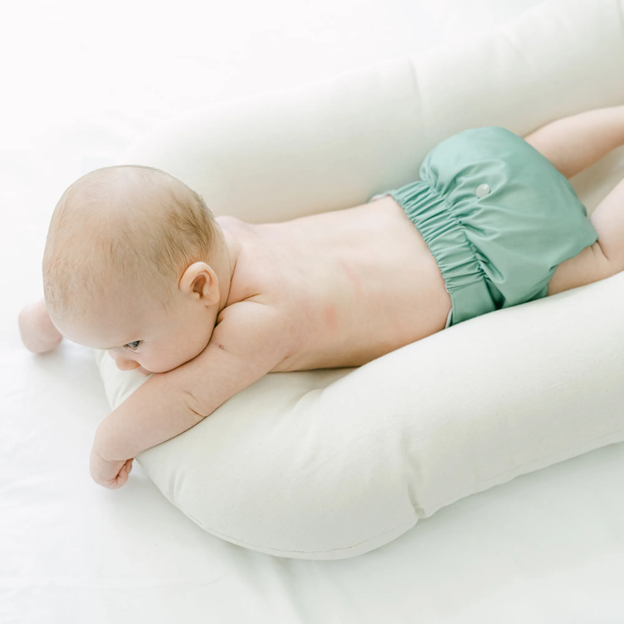 Cloth Diapers - Nature Collection - Single Diaper Set   Inserts