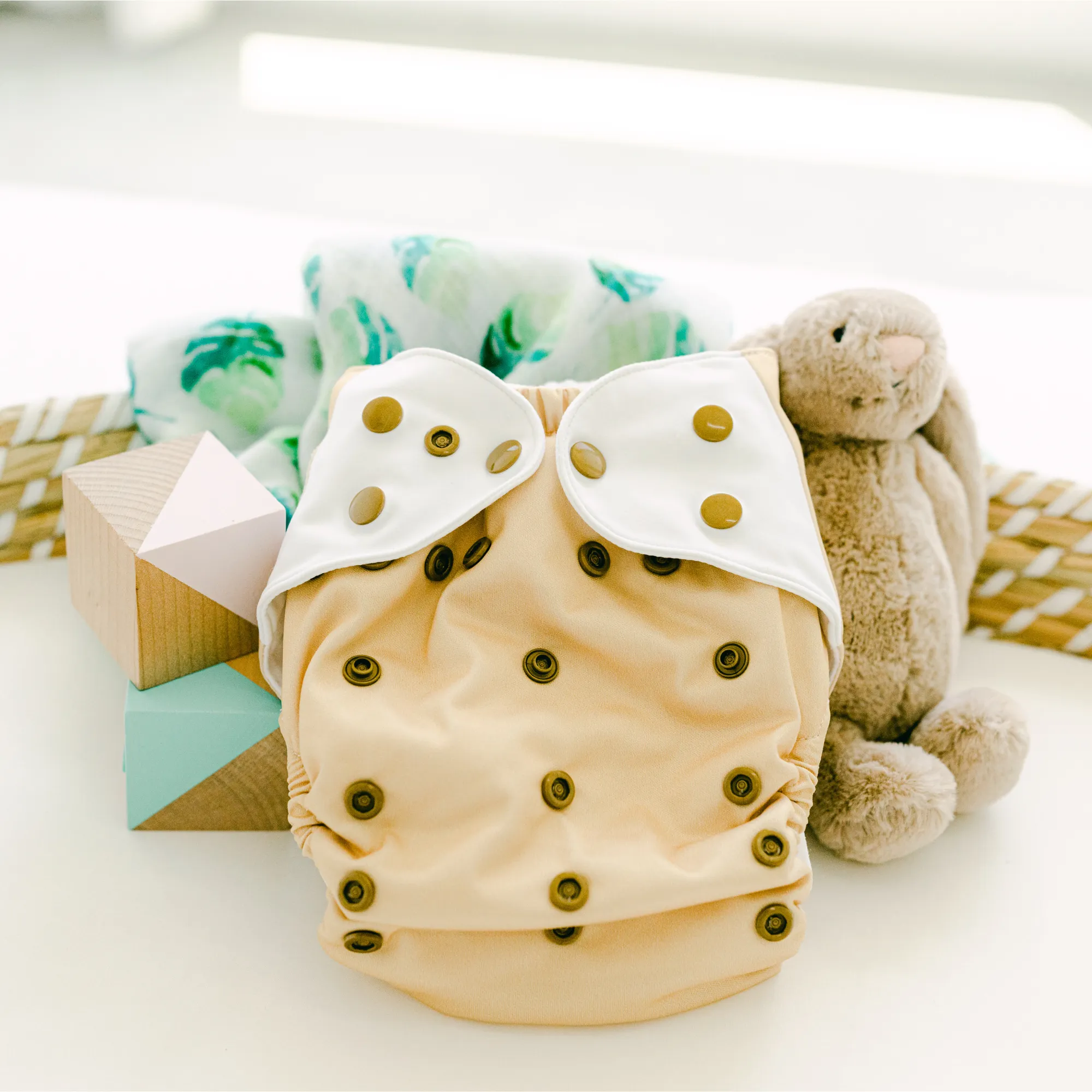 Cloth Diapers - Nature Collection - Single Diaper Set   Inserts