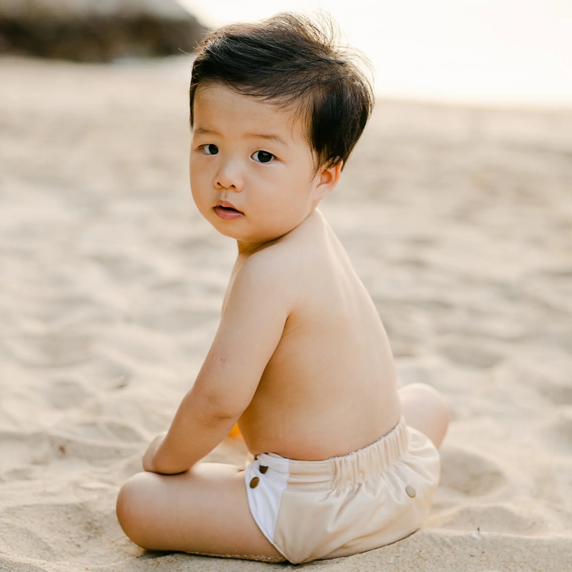 Cloth Diapers - Nature Collection - Single Diaper Set   Inserts