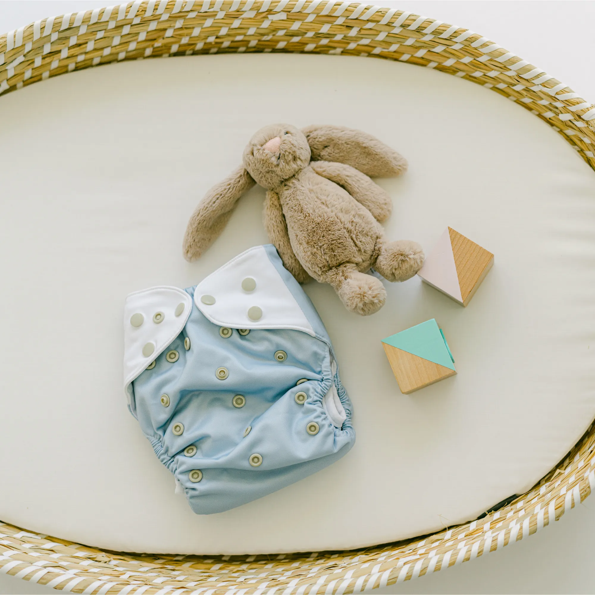 Cloth Diapers - Nature Collection - Single Diaper Set   Inserts