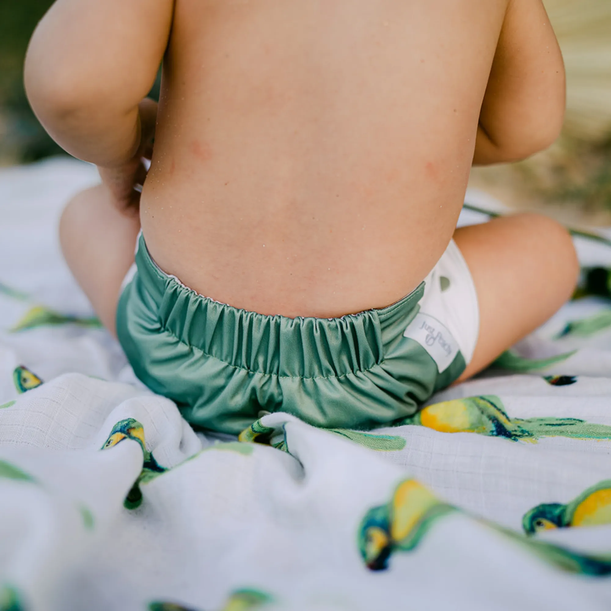 Cloth Diapers - Nature Collection - Single Diaper Set   Inserts