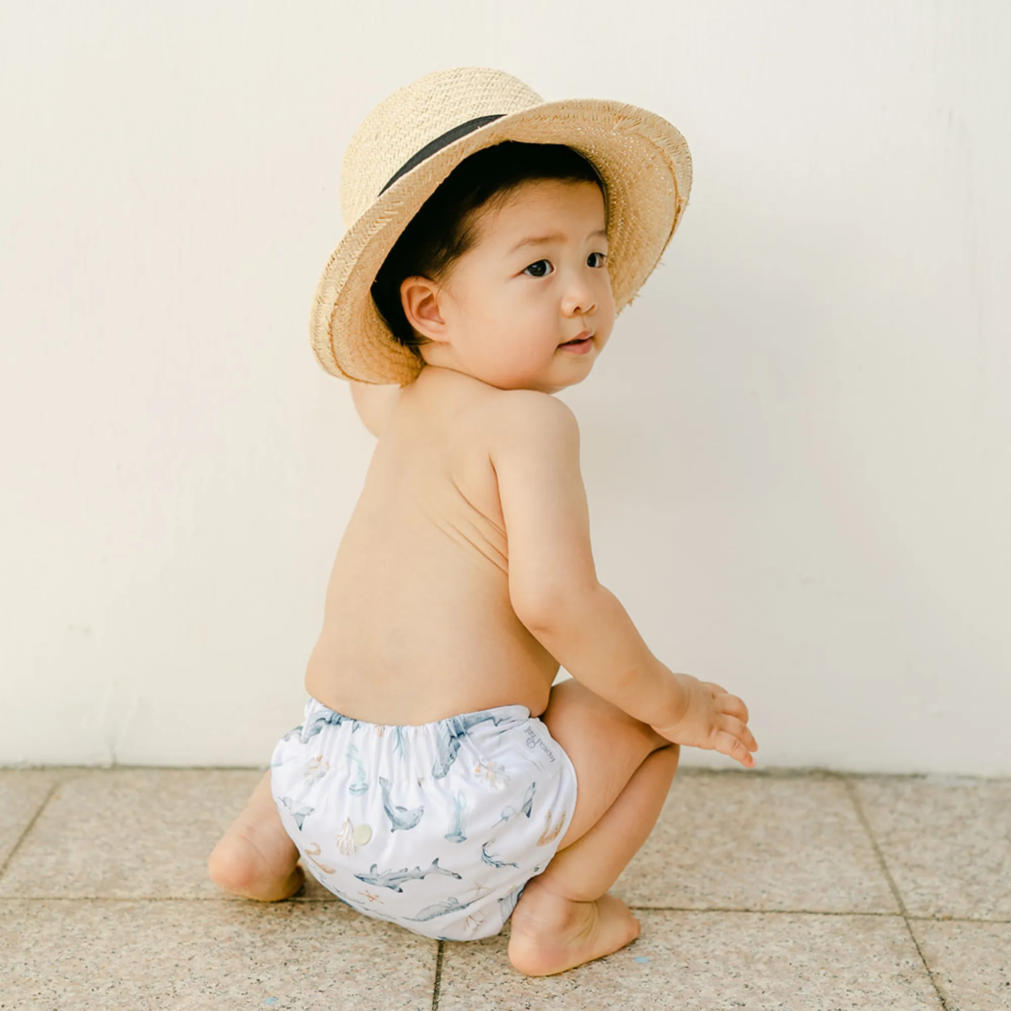 Cloth Diapers - Nature Collection - Single Diaper Set   Inserts