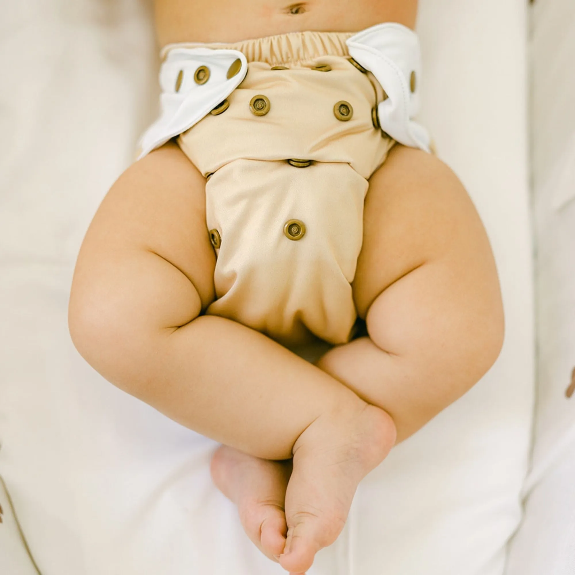 Cloth Diapers - Nature Collection - Single Diaper Set   Inserts