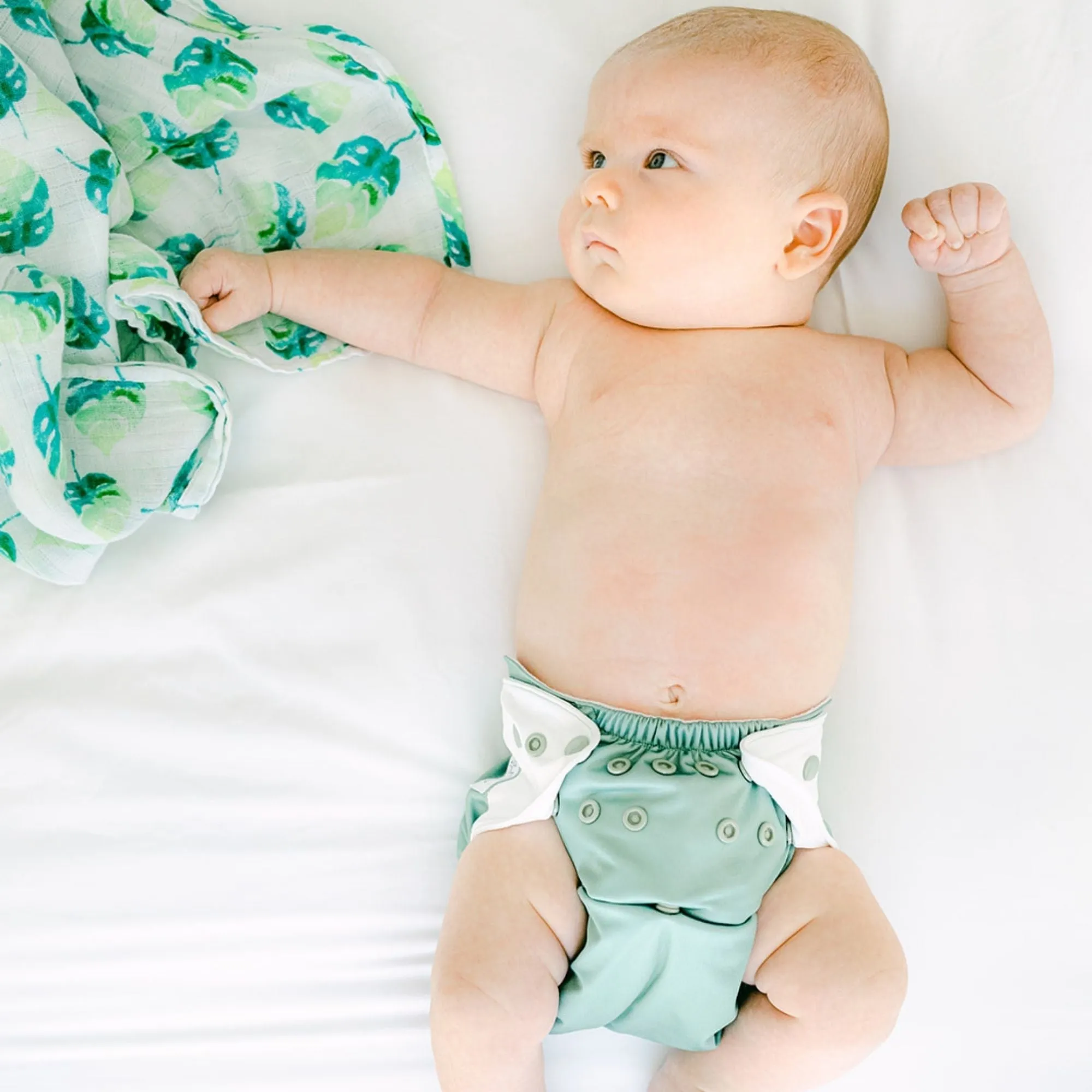 Cloth Diapers - Nature Collection - Single Diaper Set   Inserts