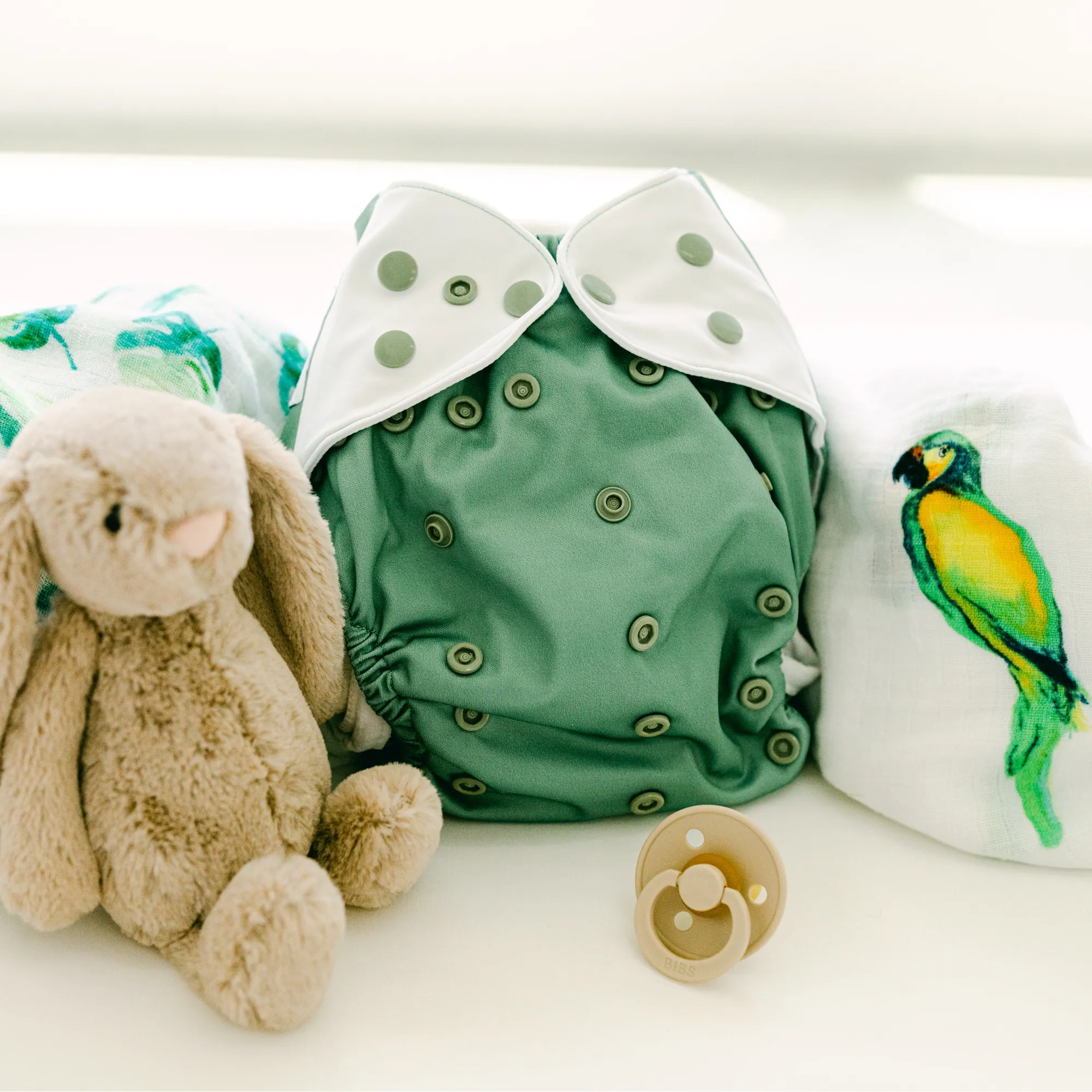 Cloth Diapers - Nature Collection - Single Diaper Set   Inserts
