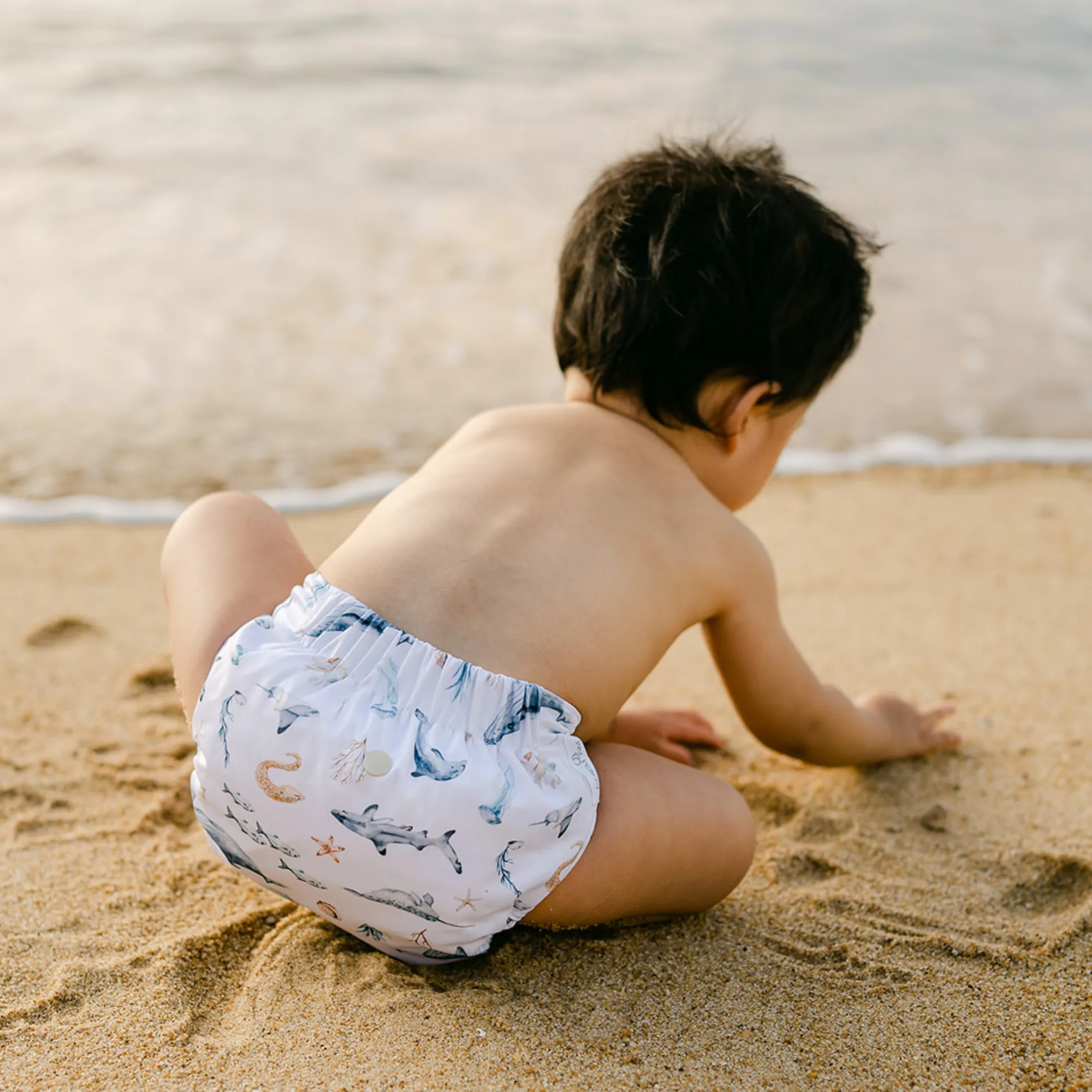 Cloth Diapers - Nature Collection - Single Diaper Set   Inserts