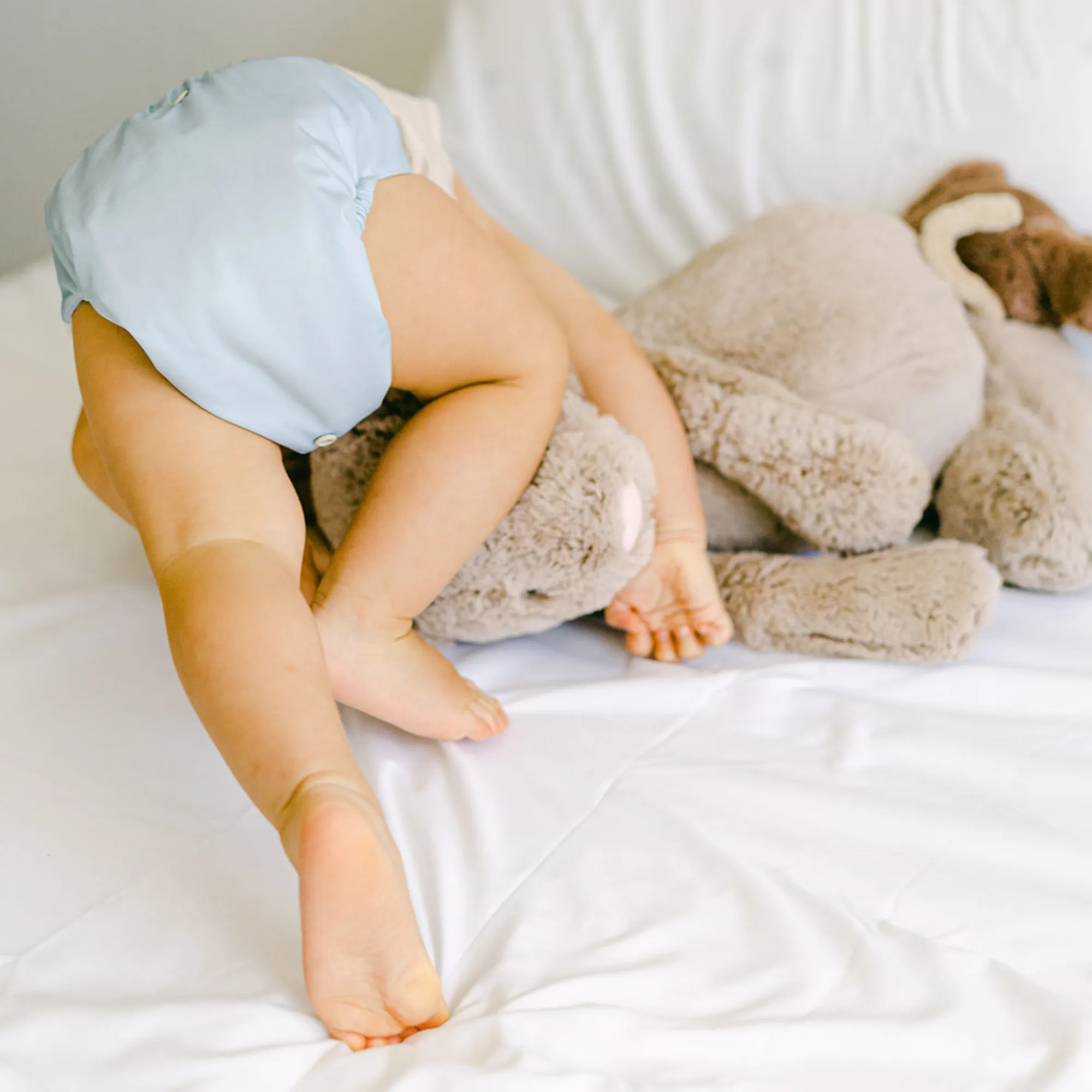 Cloth Diapers - Nature Collection - Single Diaper Set   Inserts