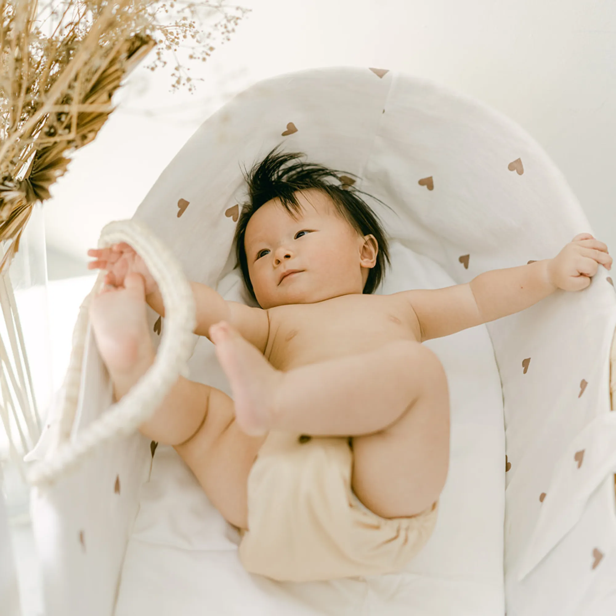 Cloth Diapers - Nature Collection - Single Diaper Set   Inserts