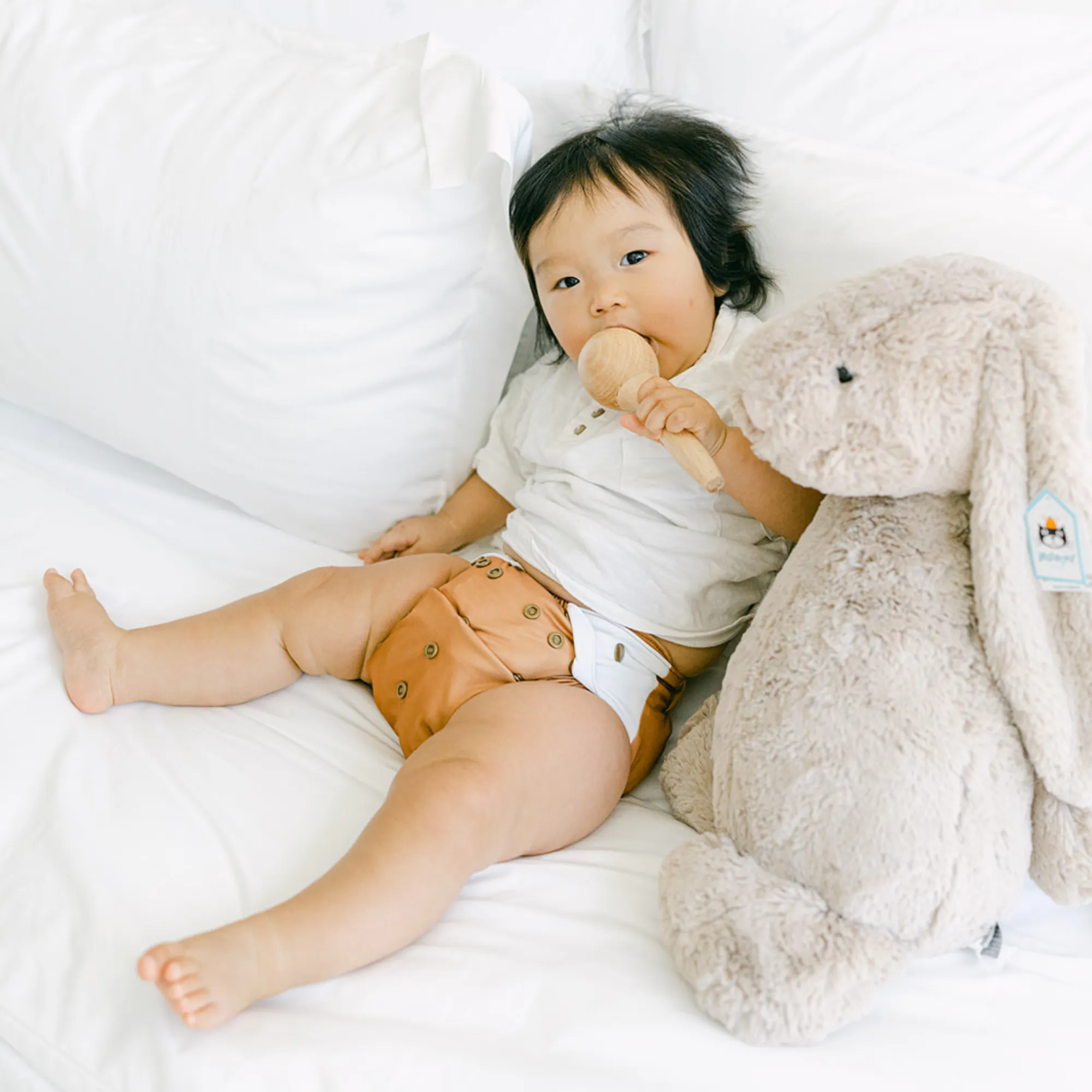 Cloth Diapers - Nature Collection - Single Diaper Set   Inserts