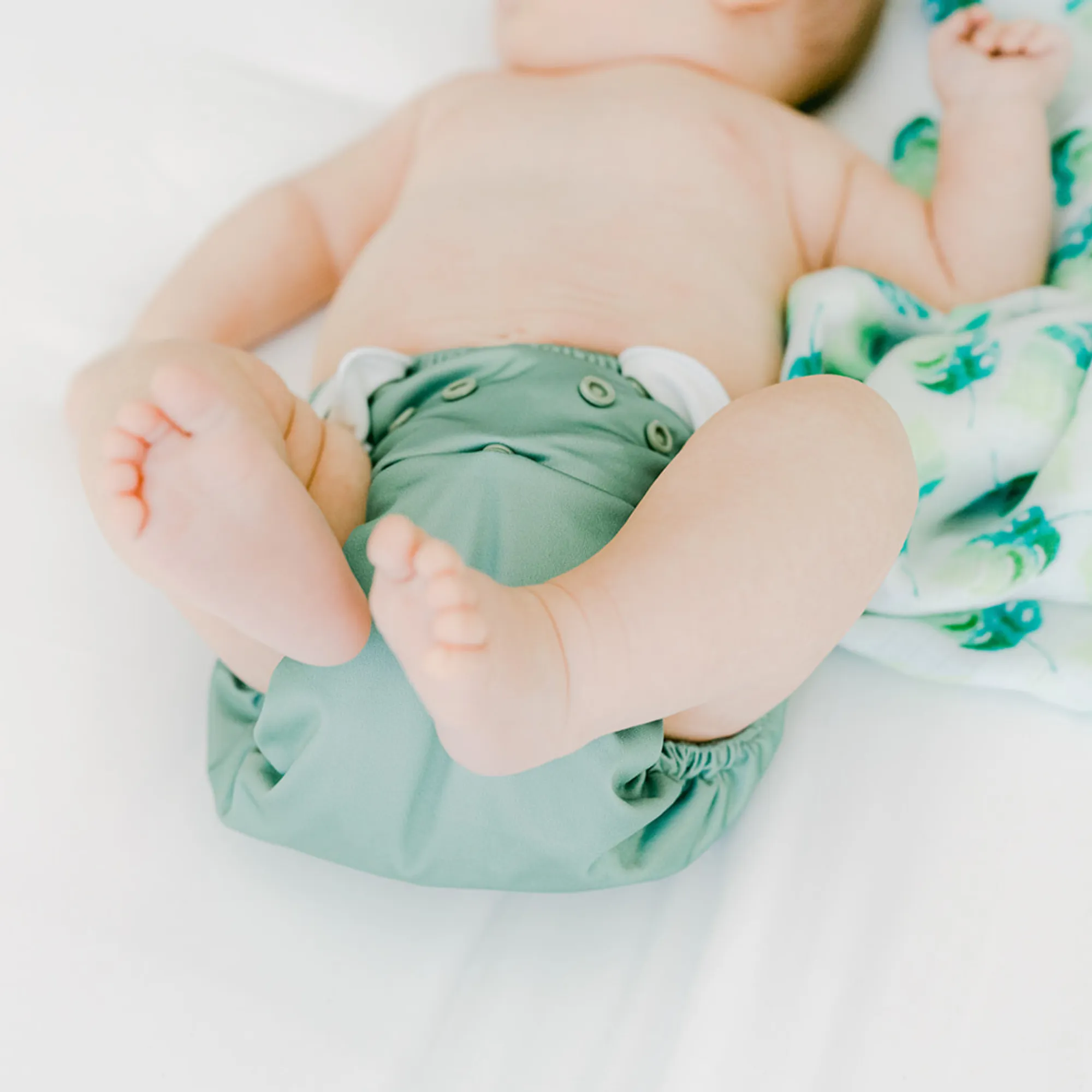 Cloth Diapers - Nature Collection - Single Diaper Set   Inserts