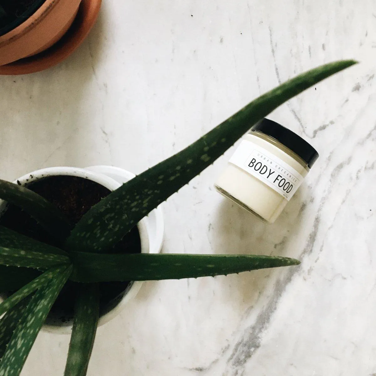 Organic All-Purpose Body   Belly Butter
