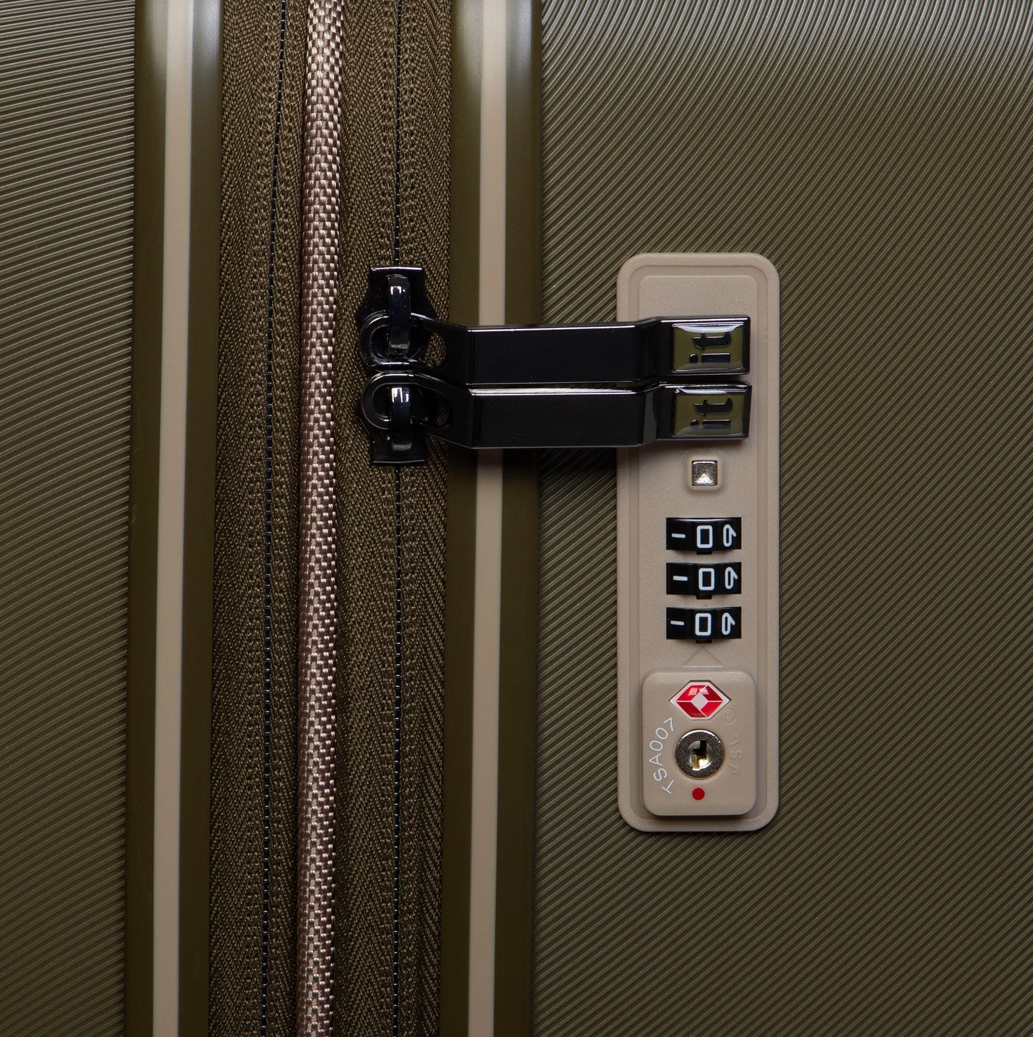 Rapidity - Large (Dark Olive)