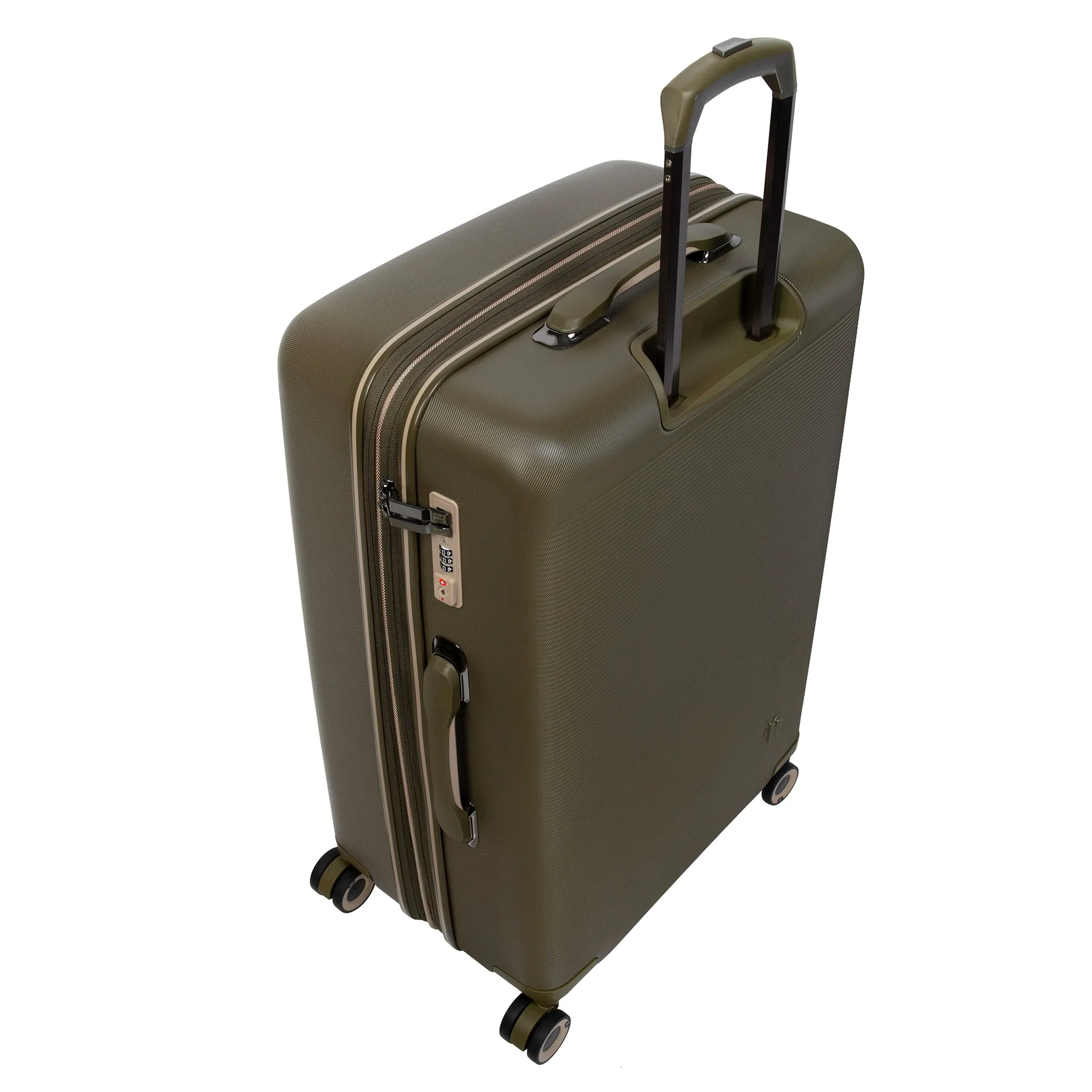 Rapidity - Large (Dark Olive)