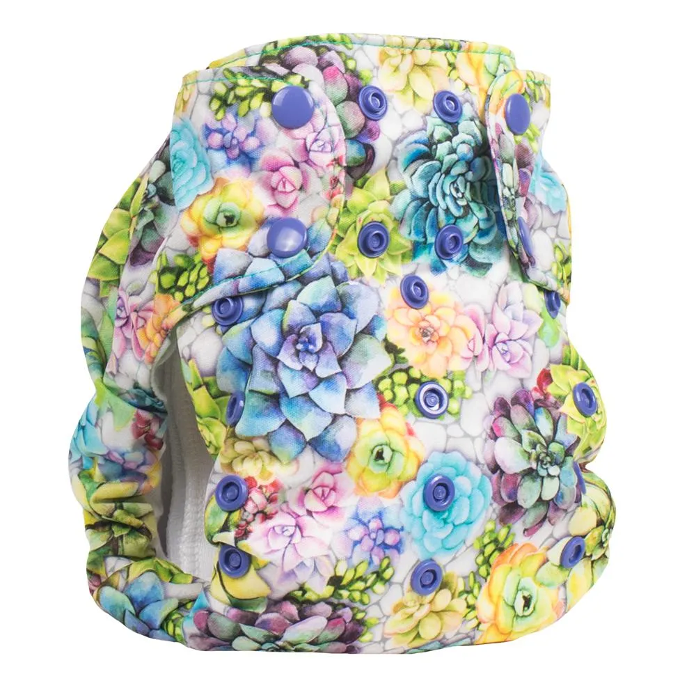 Smart Bottoms Dream Diaper 2.0